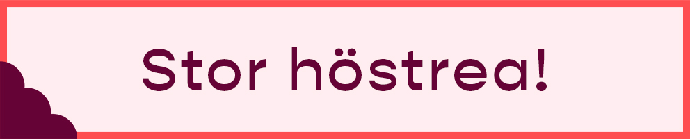 promotion banner